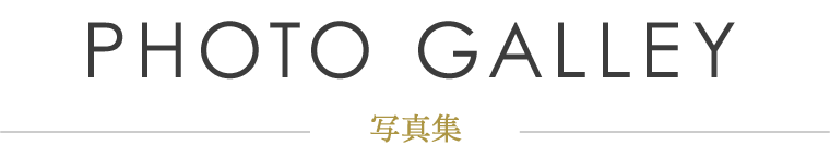 ビデオクリップ